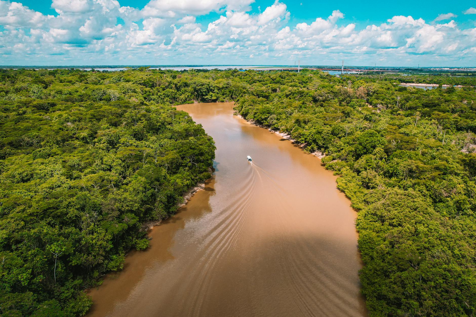 Cabaña de madera de un lodge rodeada de vegetación en la selva amazónica peruana