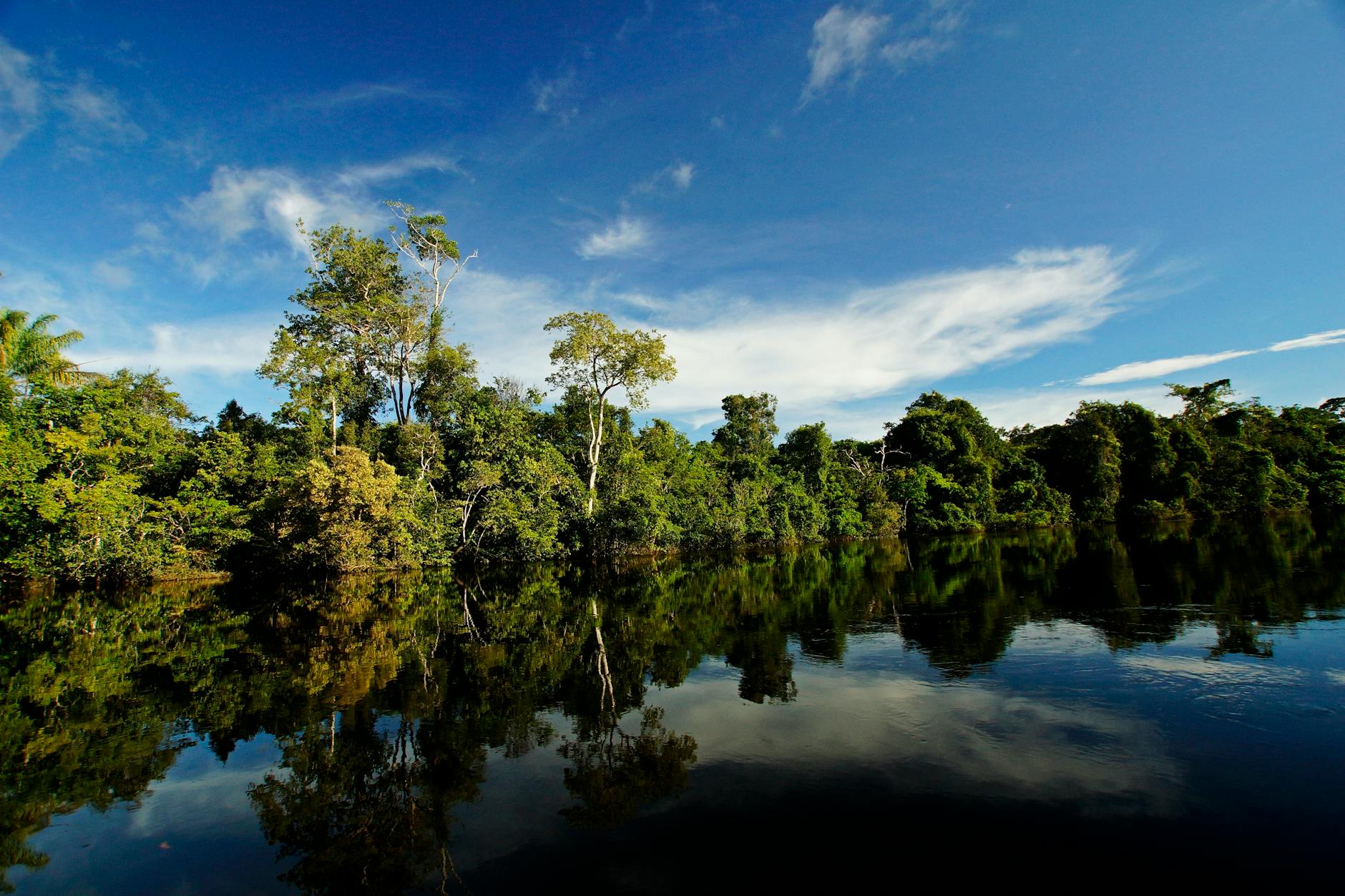Canoa de madera navegando por un río en la selva amazónica de Perú al amanecer