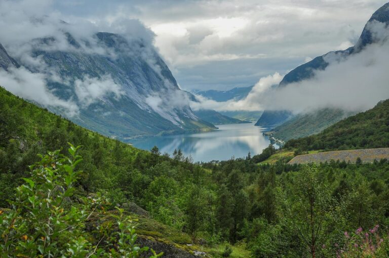 Vista panorámica del fiordo de Geiranger con cascadas y montañas nevadas
