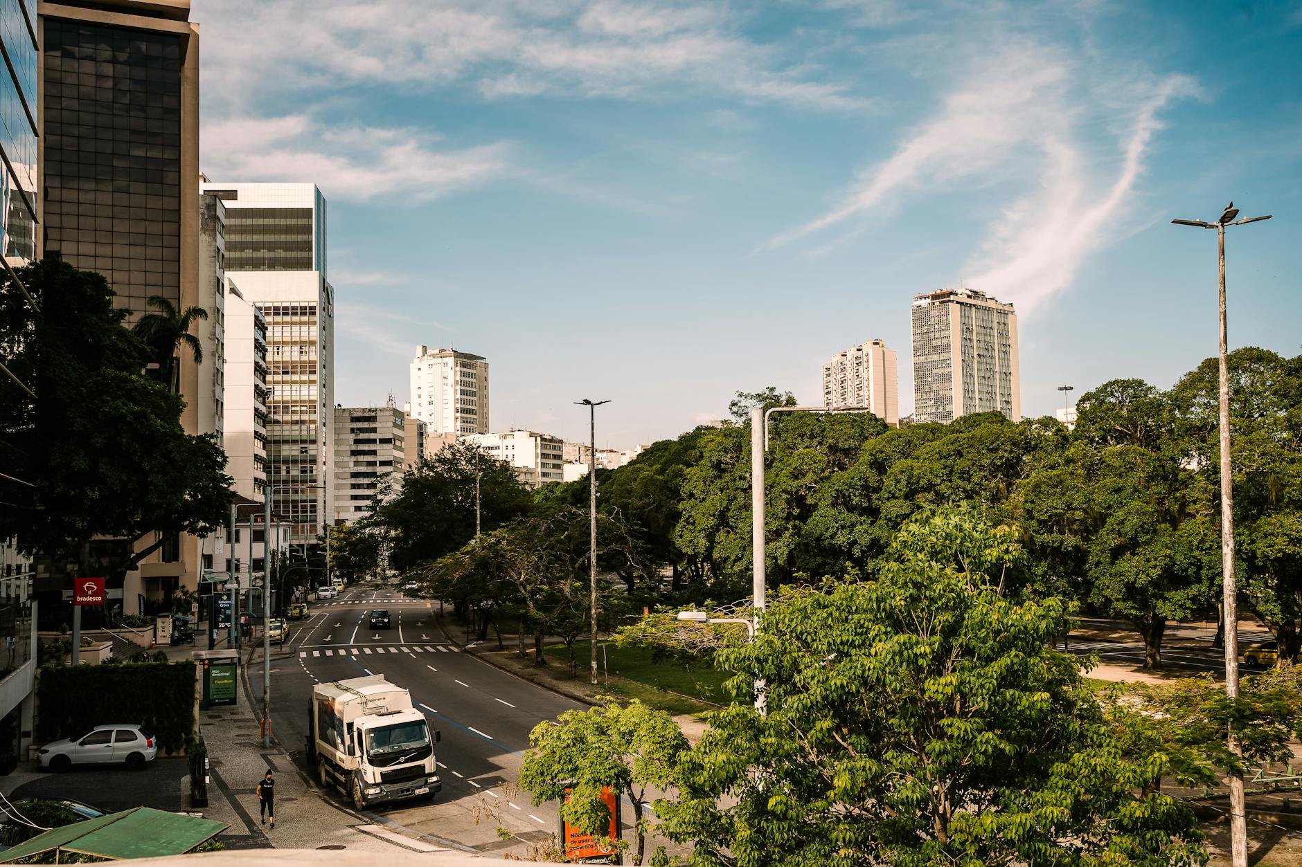 Interior exuberante del Bosque de Tijuca, la selva urbana más grande del mundo en Río de Janeiro
