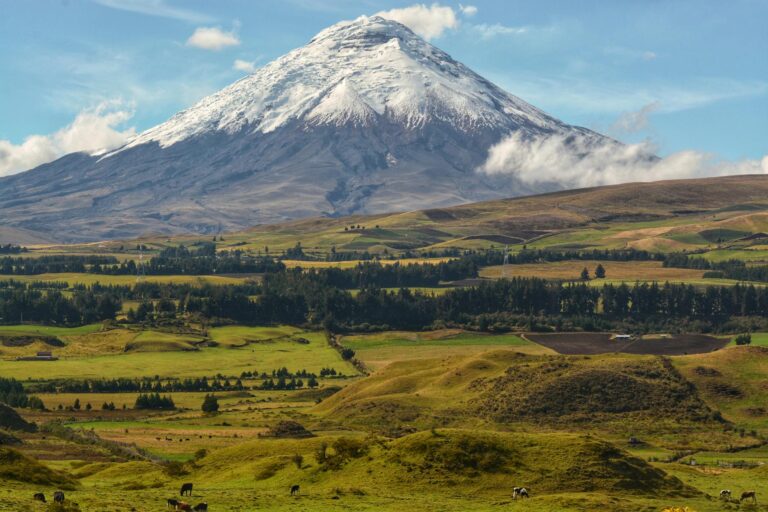 Volcán Cotopaxi nevado con cielo azul en la Ruta de los Volcanes de Ecuador