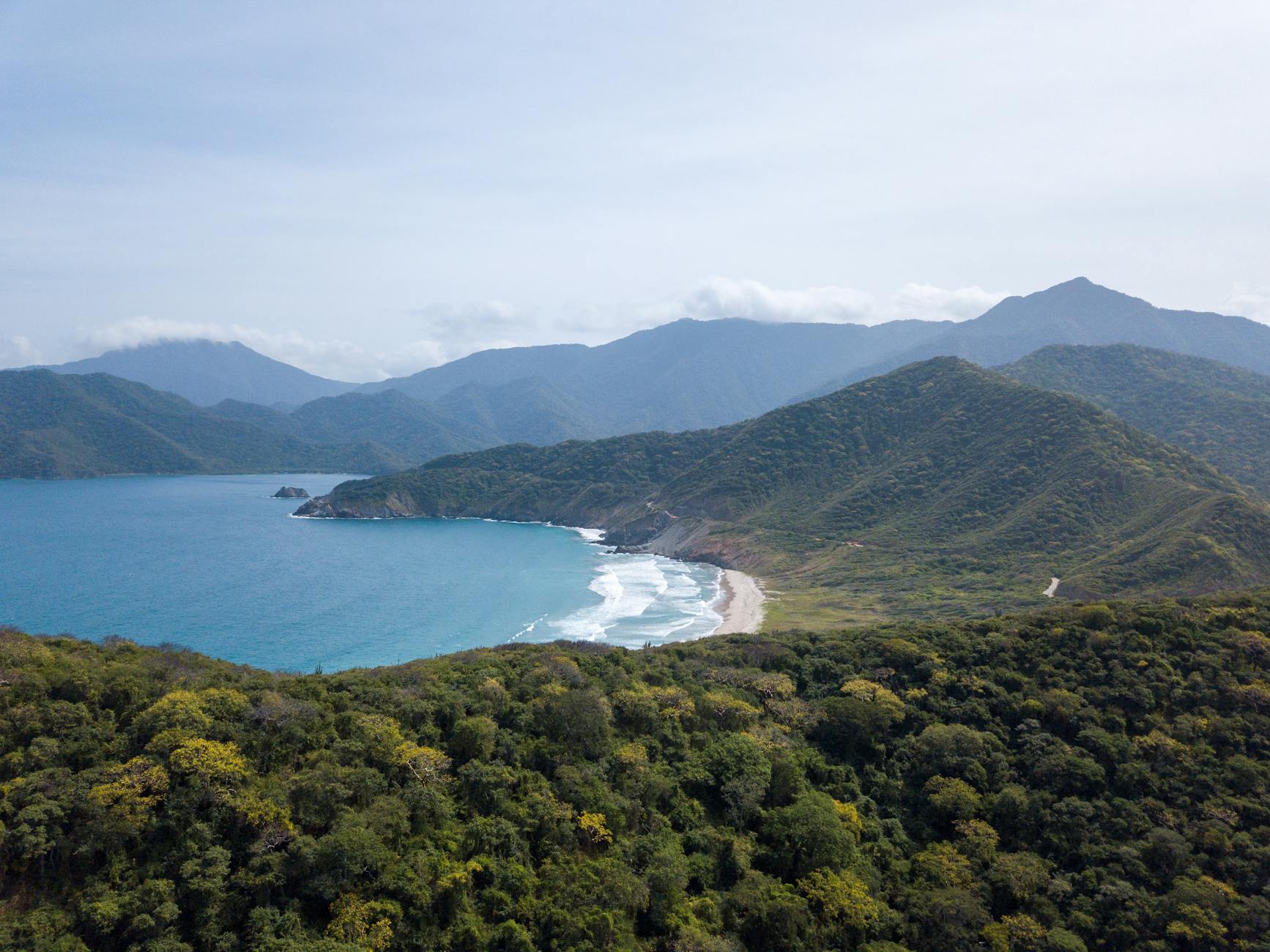 Sendero de tierra entre vegetación tropical densa en el Parque Nacional Tayrona