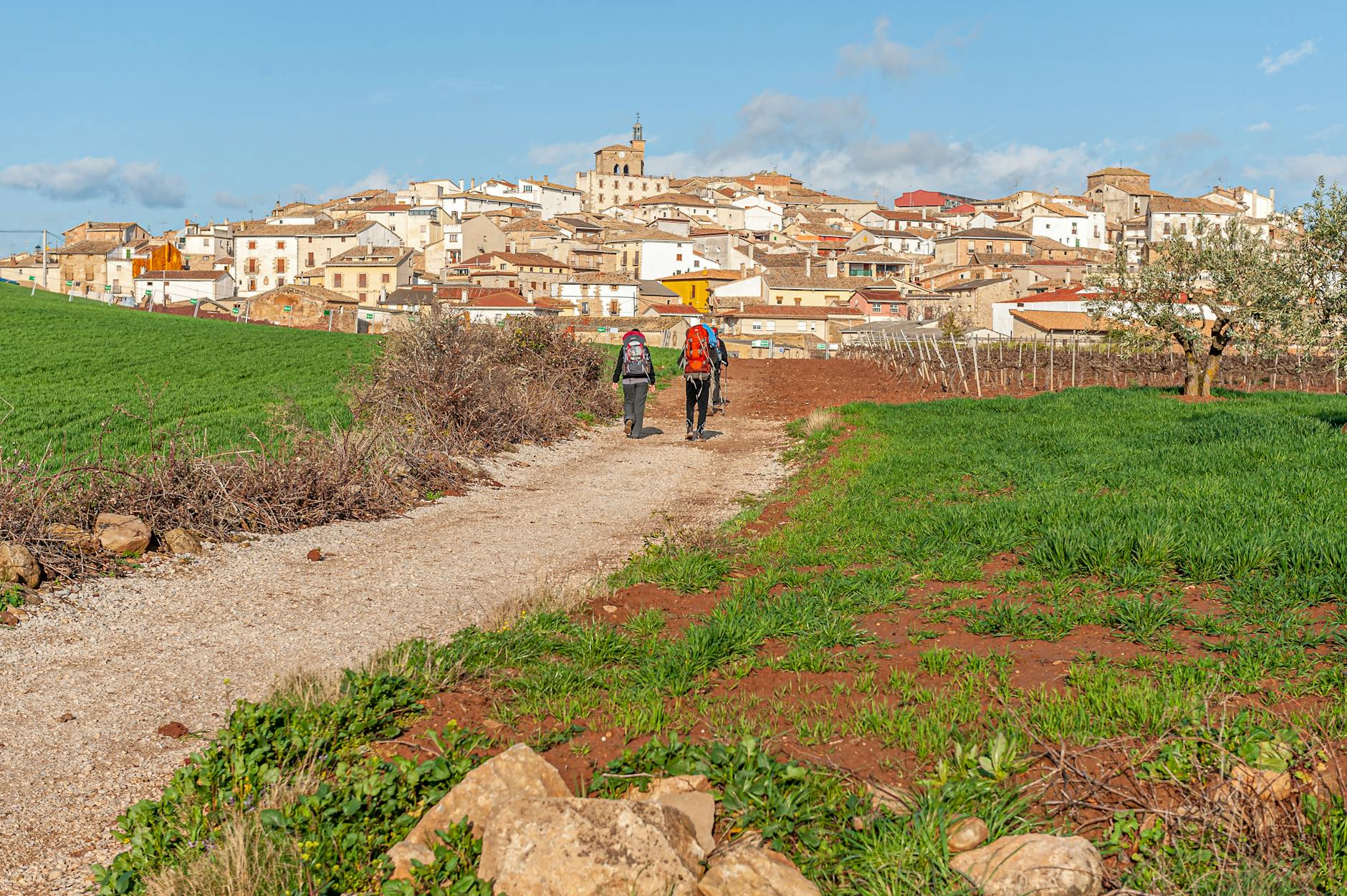 Peregrinos cruzando la meseta castellana durante el Camino Francés de Santiago