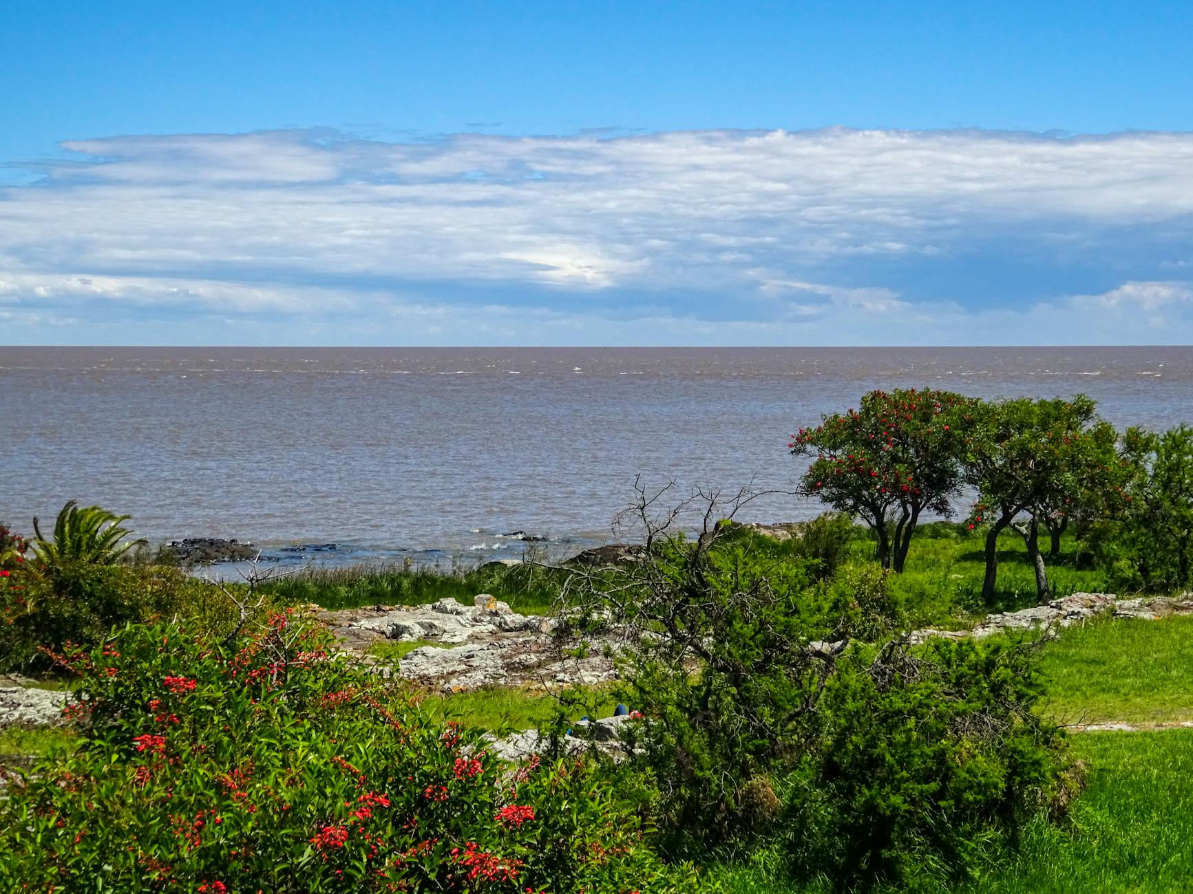 La famosa Calle de los Suspiros en Colonia del Sacramento con adoquines y vegetación