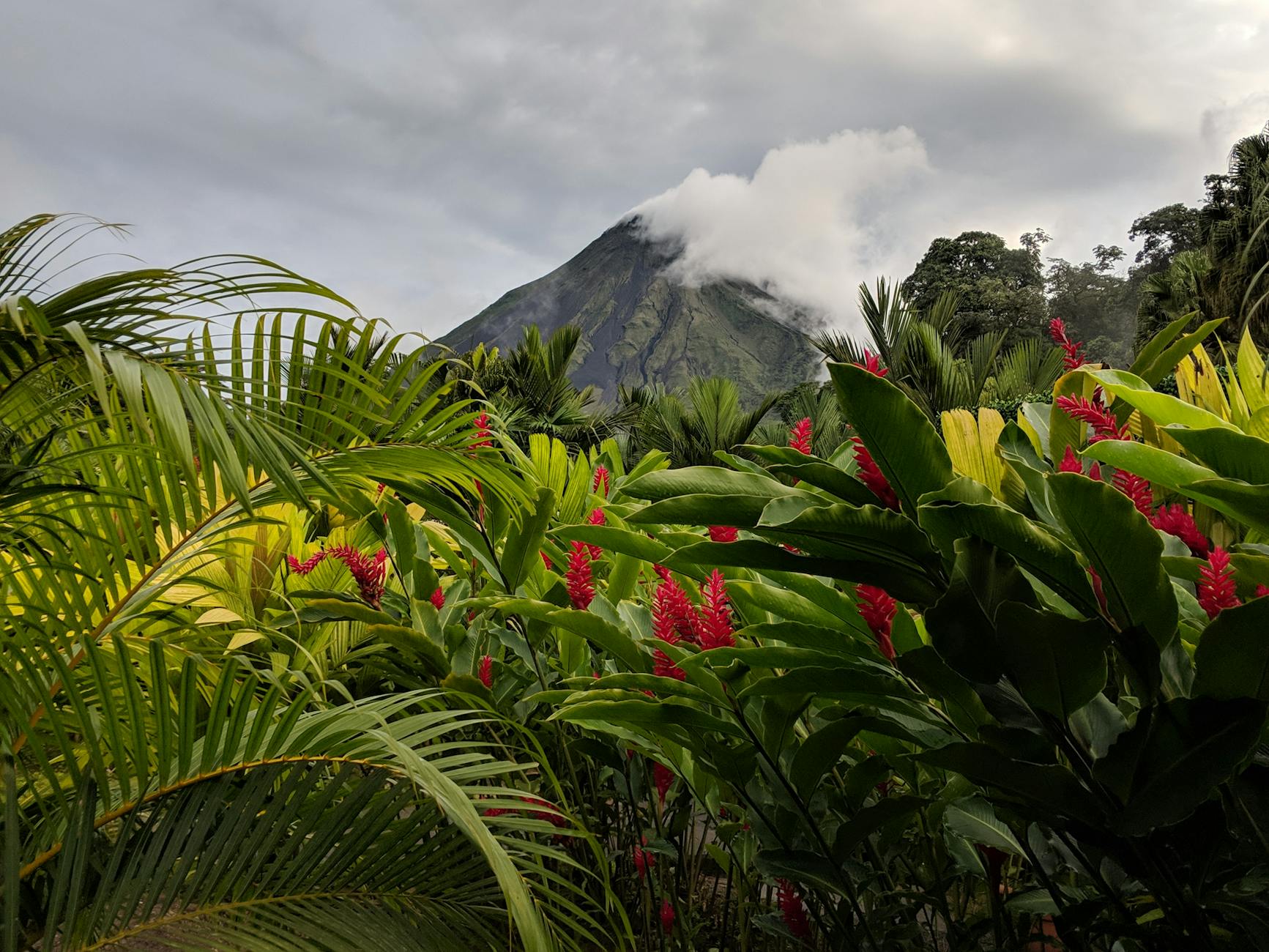 Piscinas de aguas termales rodeadas de vegetación tropical junto al Volcán Arenal en Costa Rica