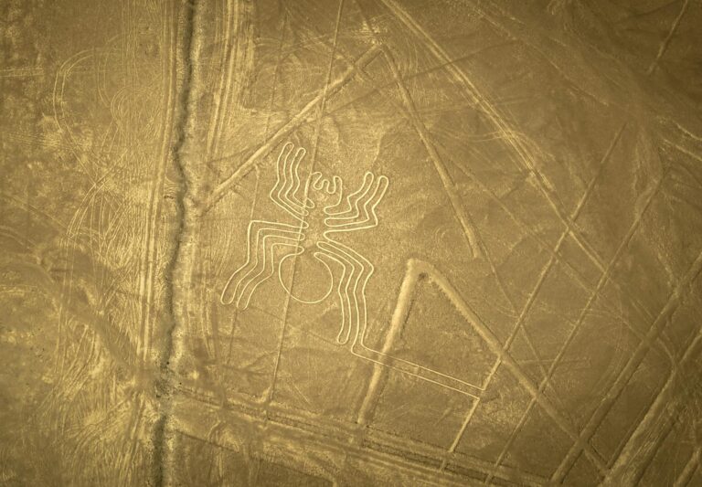 Vista aérea del geoglifo del colibrí en las Líneas de Nazca, Perú