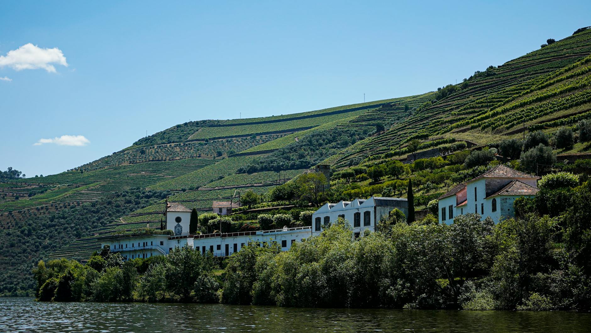 Barco de crucero navegando por el río Duero rodeado de viñedos en terrazas