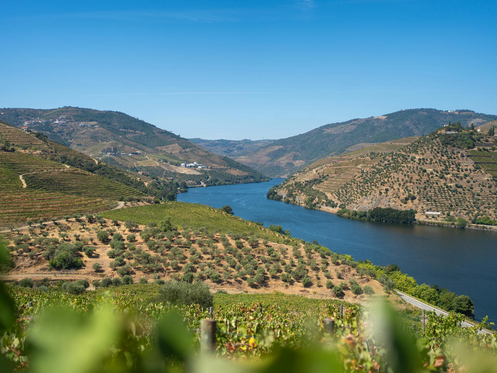 Terrazas de viñedos del Valle del Duero al atardecer en Portugal