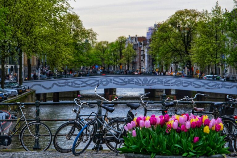 Canal de Ámsterdam con casas flotantes y árboles en flor en primavera