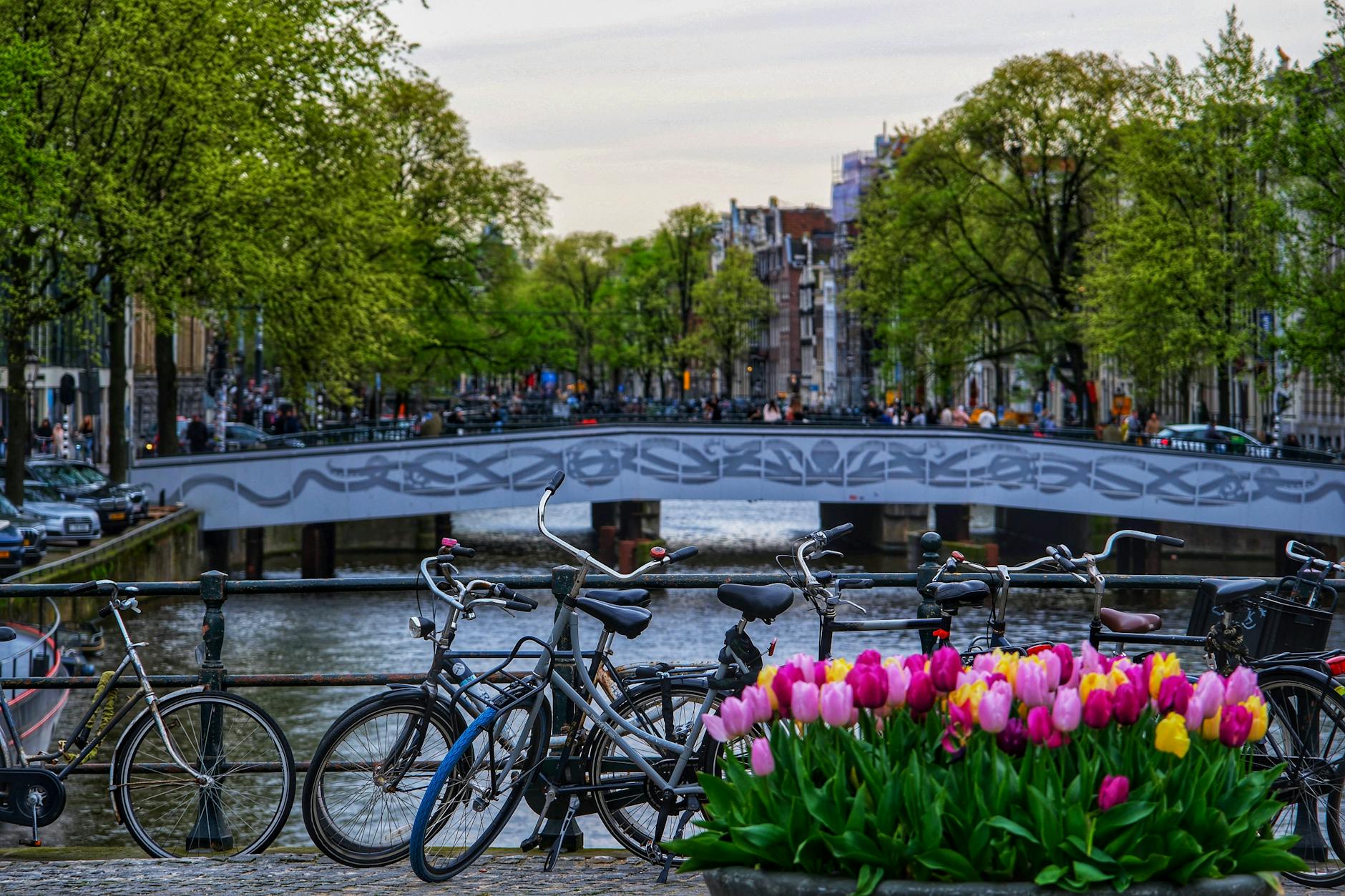 Canal de Ámsterdam con casas flotantes y árboles en flor en primavera