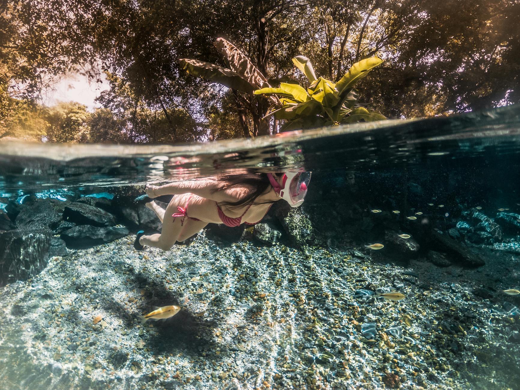 Interior de la Gruta do Lago Azul con aguas turquesas en Bonito, Brasil