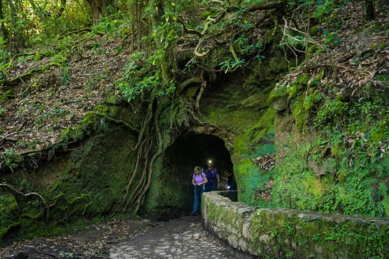 Senderista caminando junto a una levada rodeada de vegetación verde en Madeira