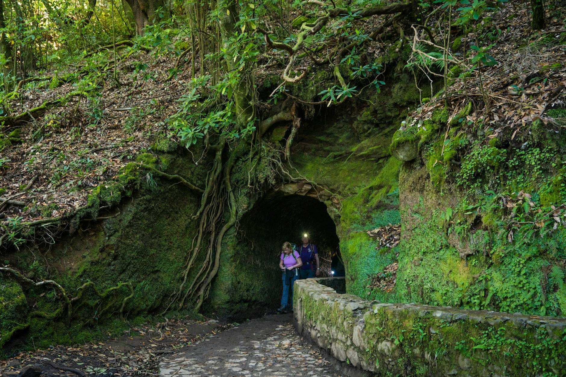 Senderista caminando junto a una levada rodeada de vegetación verde en Madeira