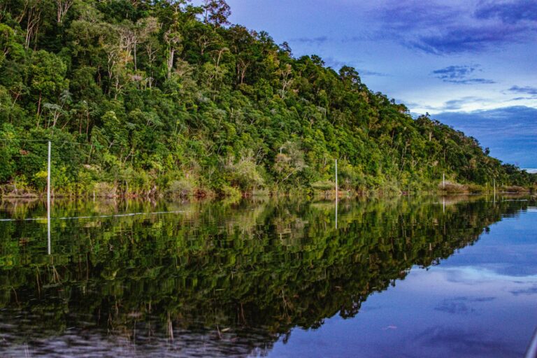 Vista aérea de la selva tropical del Amazonas en Brasil con el río serpenteando entre la vegetación
