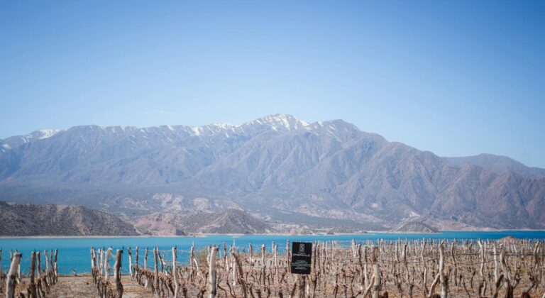 Viñedos de Mendoza con la cordillera de los Andes al fondo