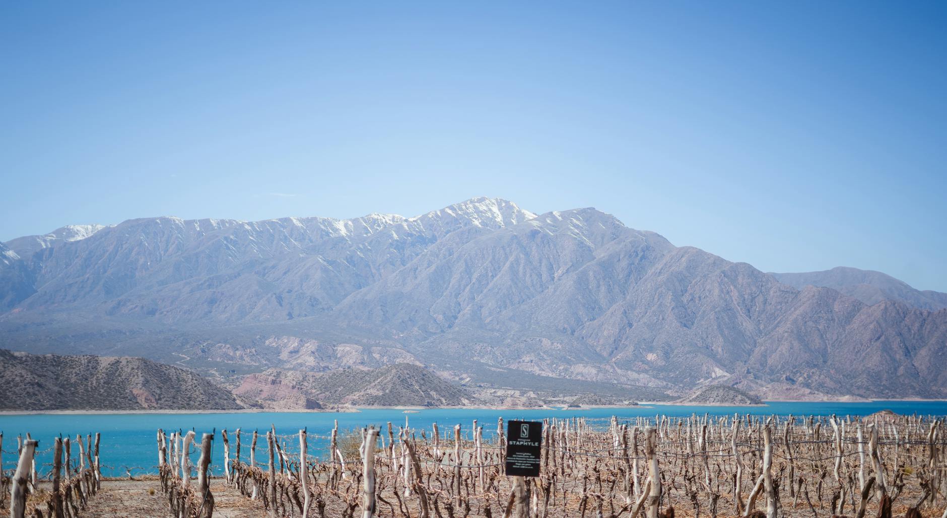 Viñedos de Mendoza con la cordillera de los Andes al fondo