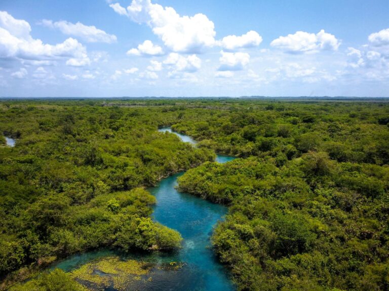 Paisaje de un parque nacional en América Latina con selva y montañas