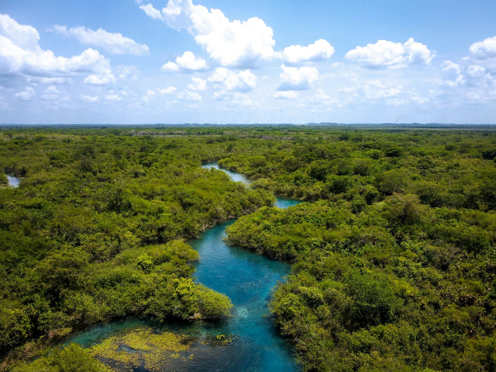 Paisaje de un parque nacional en América Latina con selva y montañas