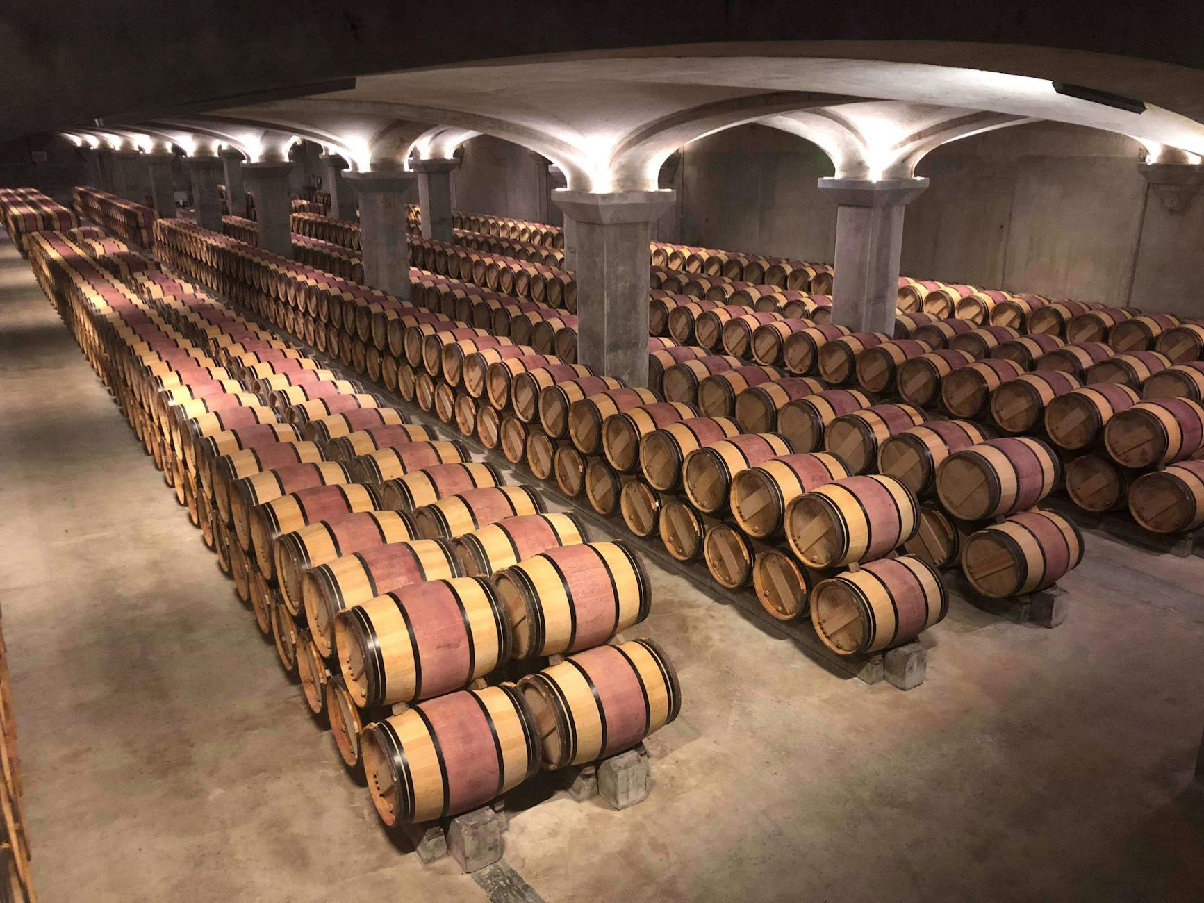Bodega de diseño moderno rodeada de viñedos en La Rioja Alavesa