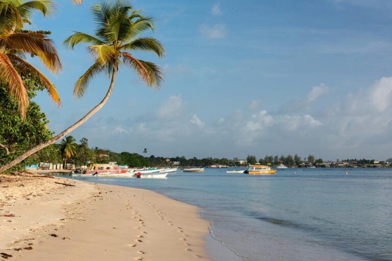 Playa de arena blanca y agua turquesa en una isla del Caribe económica