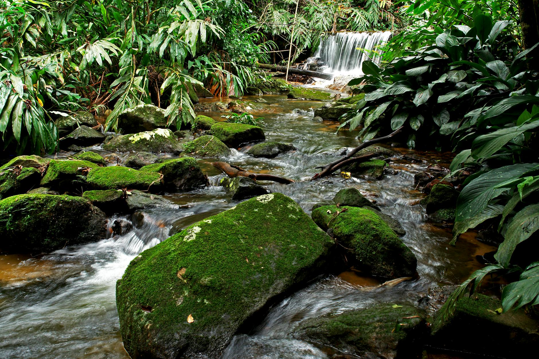 Senderista caminando junto a una cascada en las Yungas de Tucumán Argentina