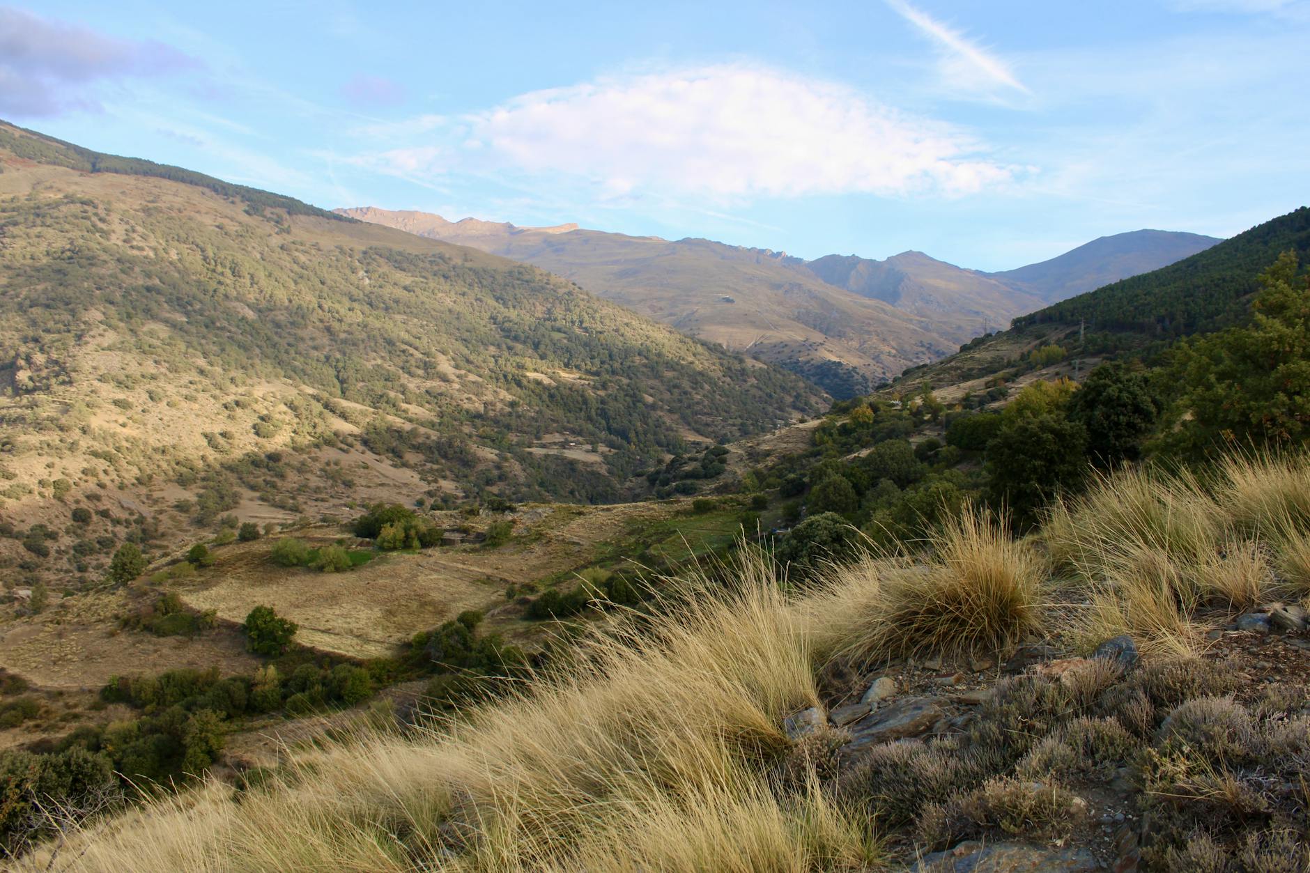 Calle empedrada y estrecha de un pueblo de la Alpujarra con macetas de flores