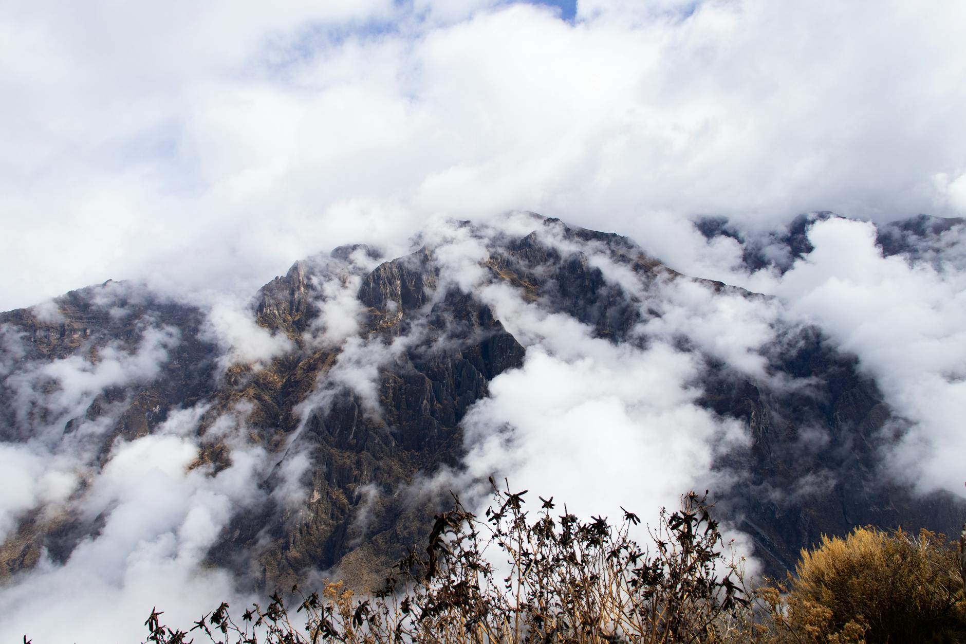 Cóndor andino con las alas extendidas sobrevolando el abismo del Cañón del Colca en Arequipa