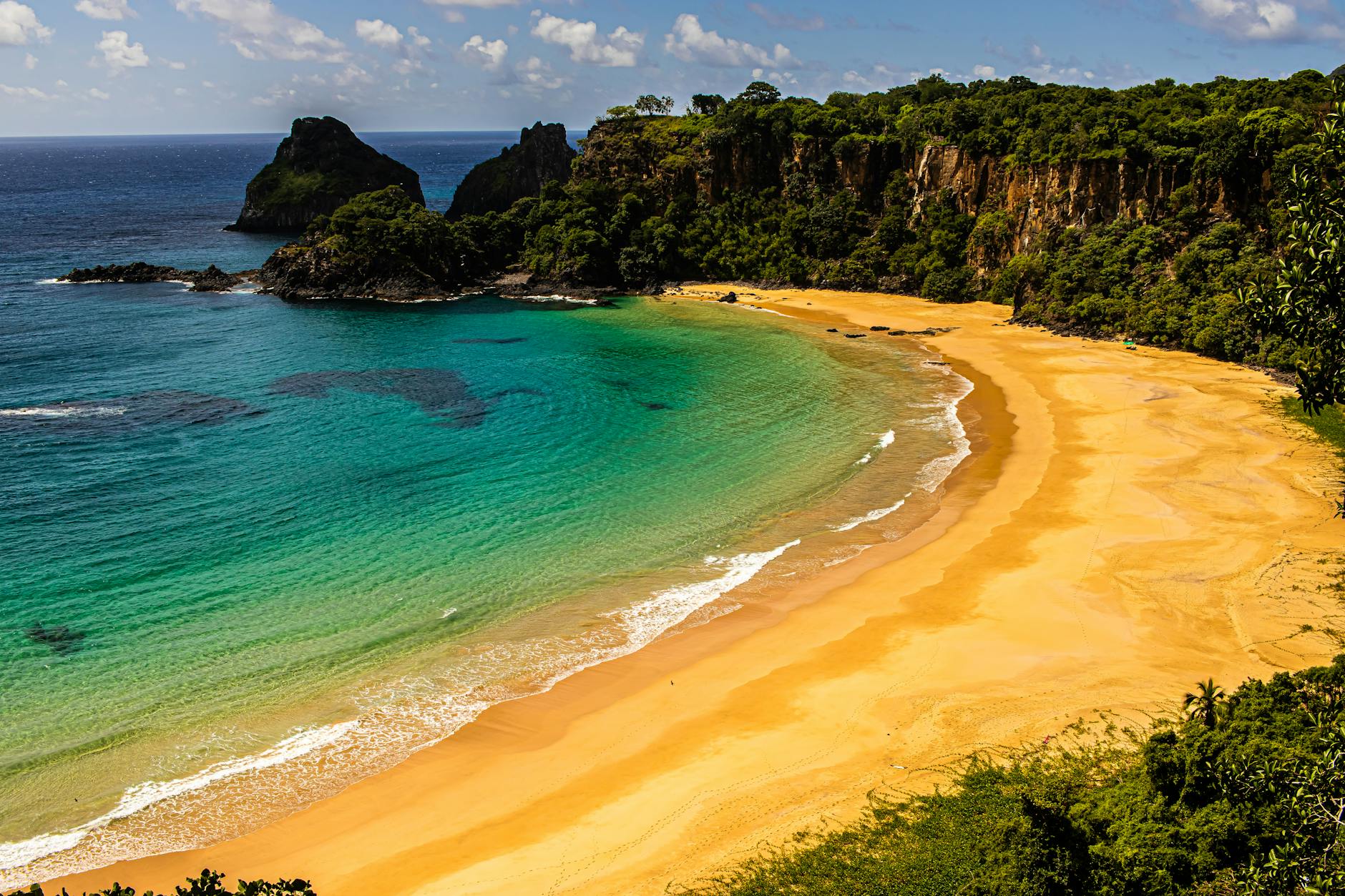 Delfines giradores saltando en la Baía dos Golfinhos de Fernando de Noronha, Brasil