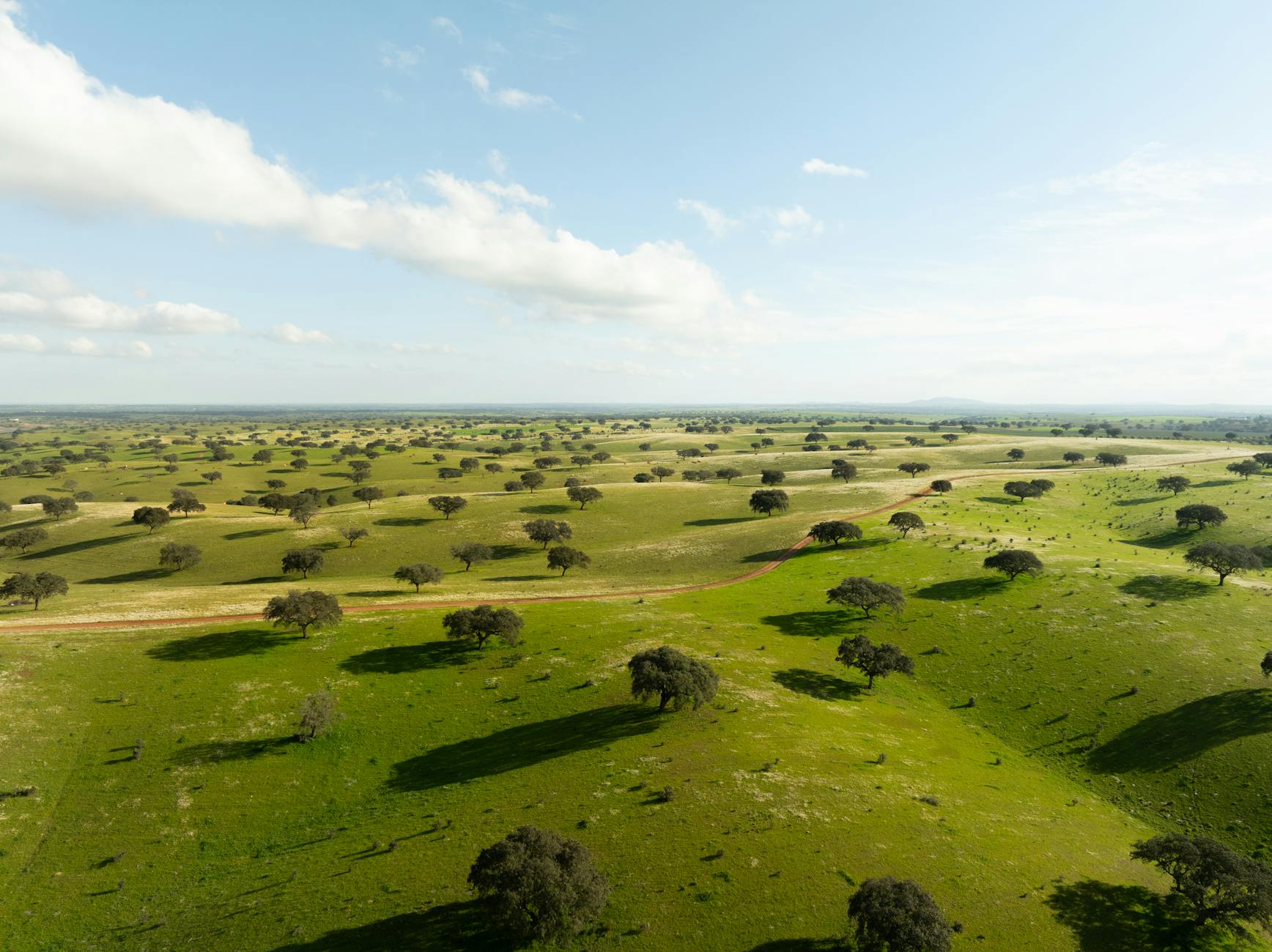 Paisaje de dehesa con encinas y cielo anaranjado al atardecer en el Alentejo