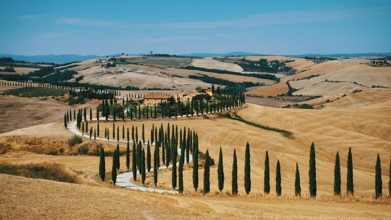 Paisaje de las colinas del Chianti con viñedos y cipreses en la Toscana italiana