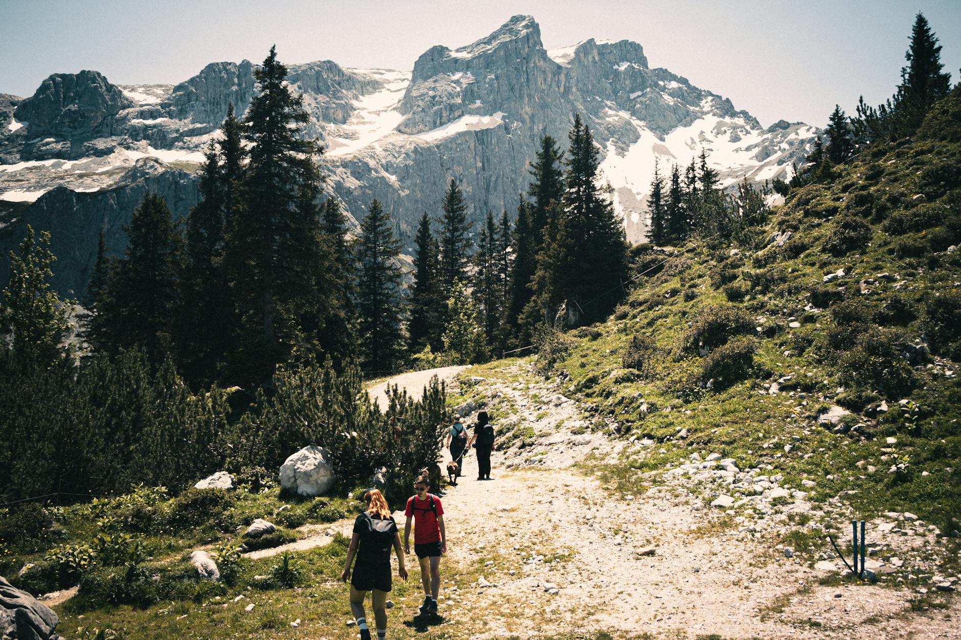 Sendero de los Dolomitas italianos con picos rocosos bajo cielo azul