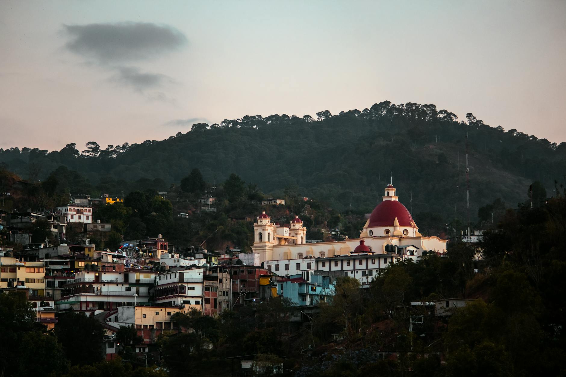 Senderista en un sendero de montaña rodeado de árboles en Oaxaca