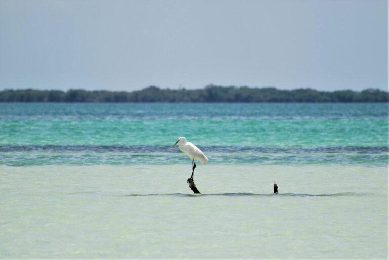 Atardecer en la playa de Holbox con aguas turquesas en calma
