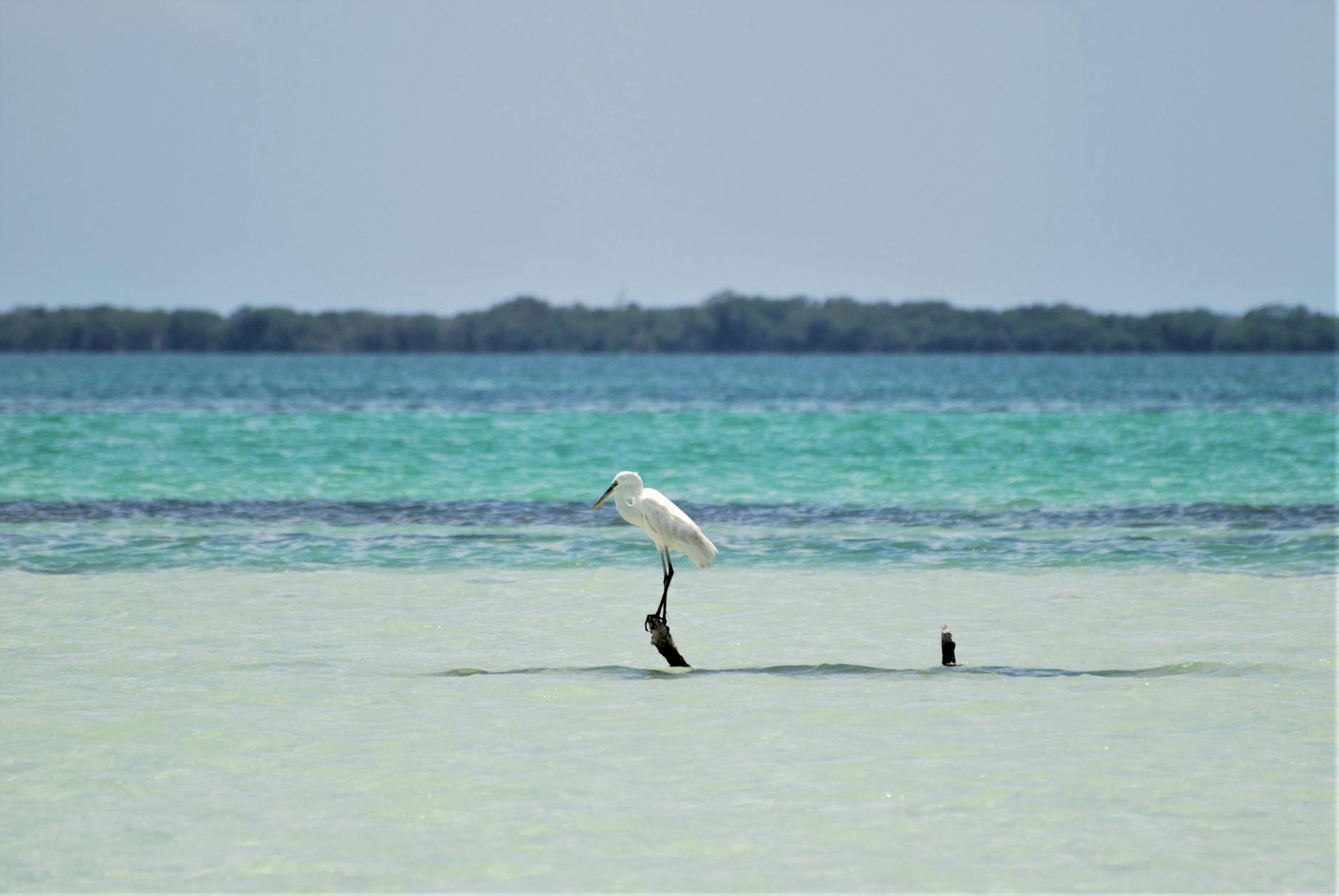 Atardecer en la playa de Holbox con aguas turquesas en calma