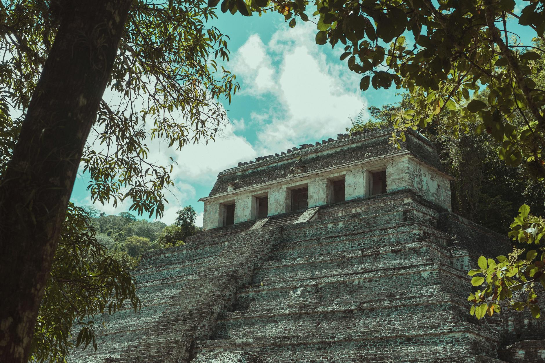 Ruinas mayas de Palenque cubiertas de niebla al amanecer entre la selva chiapaneca