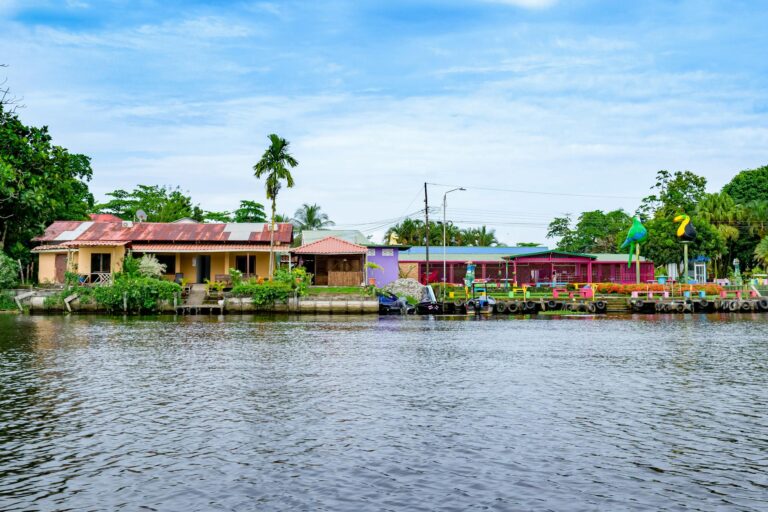 Vista del río Macal rodeado de vegetación tropical en San Ignacio, Belice