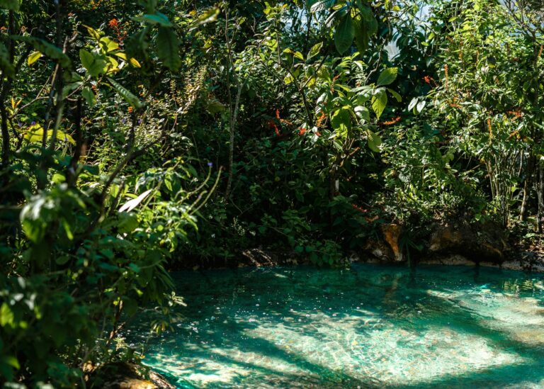 Pozas de agua turquesa entre vegetación selvática en Semuc Champey, Guatemala