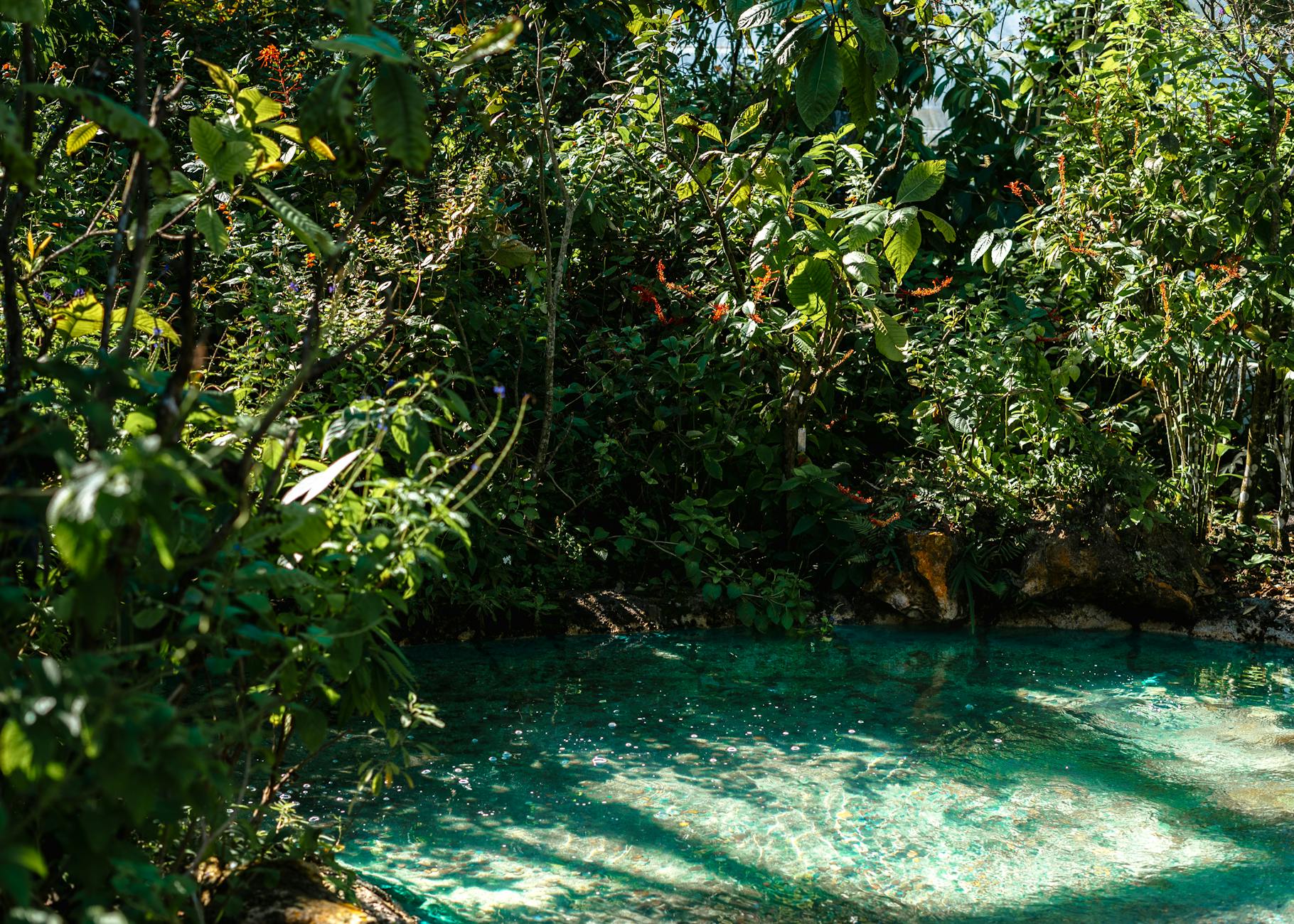 Pozas de agua turquesa entre vegetación selvática en Semuc Champey, Guatemala