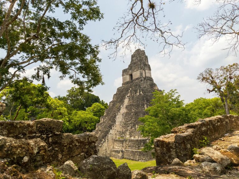 Vista del amanecer sobre la selva desde lo alto del Templo IV de Tikal en Guatemala