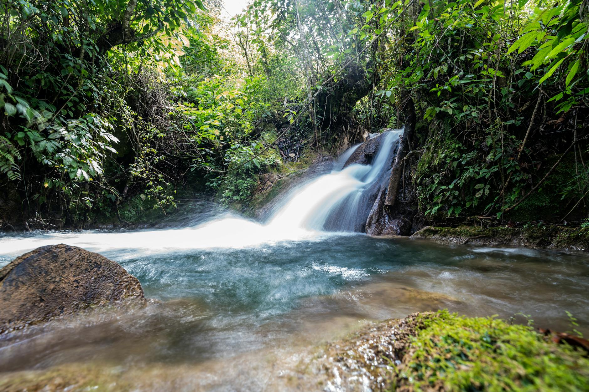 Paredes de roca cubiertas de vegetación tropical formando un cañón en el Río Dulce de Guatemala