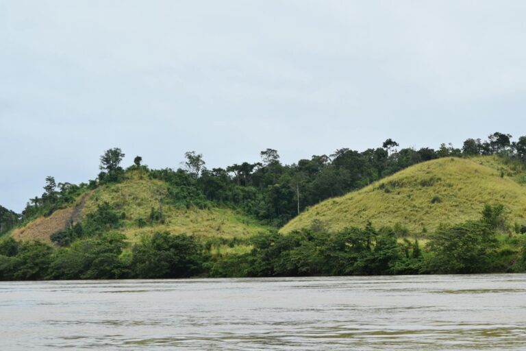 Lancha turística navegando entre paredes de selva tropical en el Río Dulce, Guatemala
