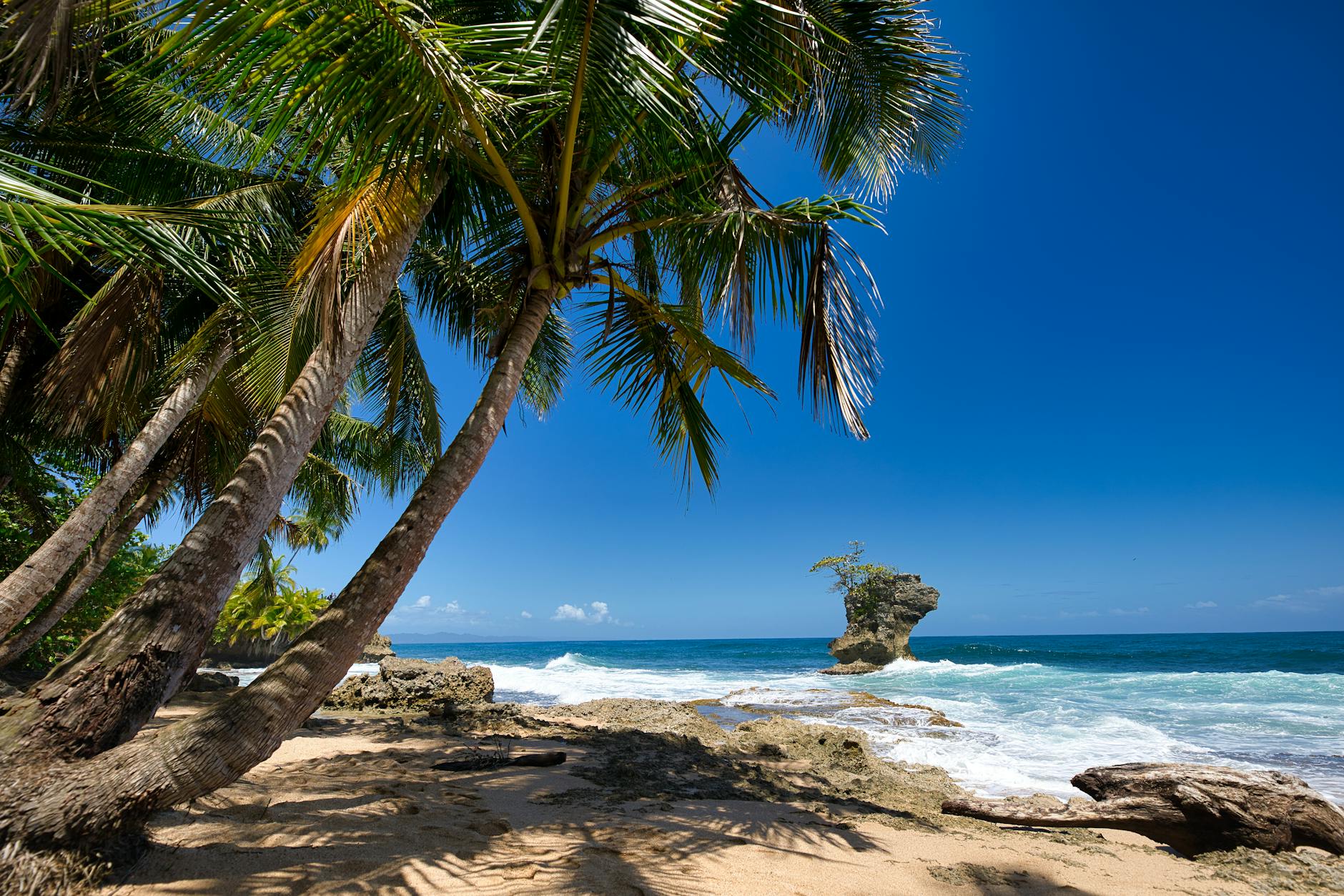 Playa de arena blanca con palmeras en Puerto Viejo de Talamanca, Costa Rica